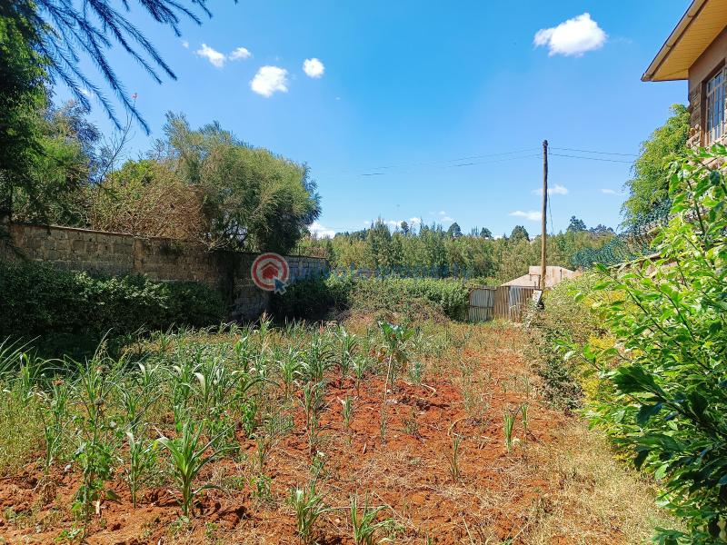 Residential Land For Sale Gikambura Riu Nderi Kikuyu Kiambu - 13