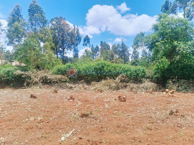 Residential Land For Sale Gikambura Primary School Area Gikambura Kikuyu Kiambu - 32
