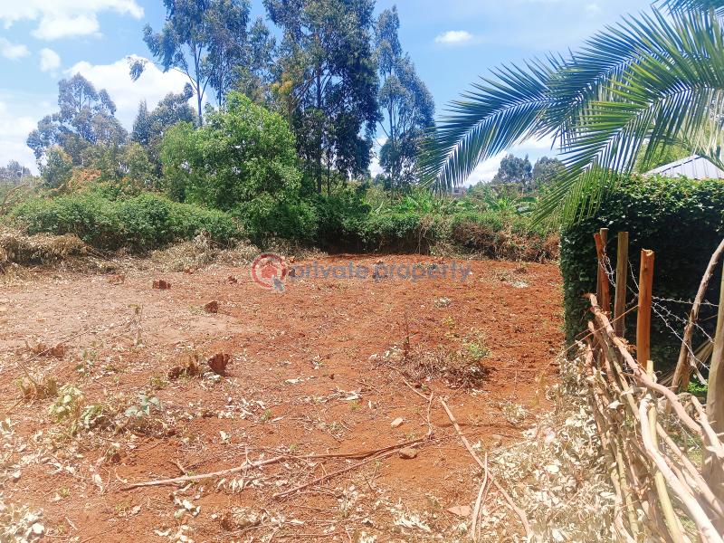 Residential Land For Sale Gikambura Primary School Area Gikambura Kikuyu Kiambu - 31