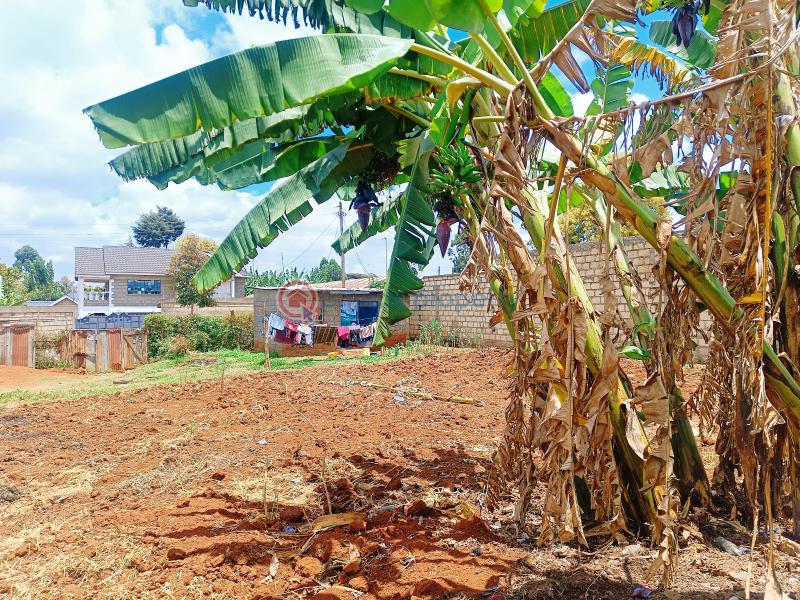Residential Land For Sale Musa Gitau Area Gikambura Kikuyu Kiambu - 10