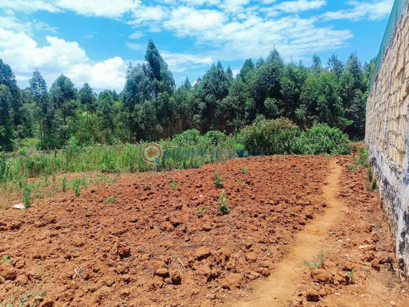 Residential Land For Sale Beverly Gardens Estate Gikambura Kikuyu Kiambu - 10