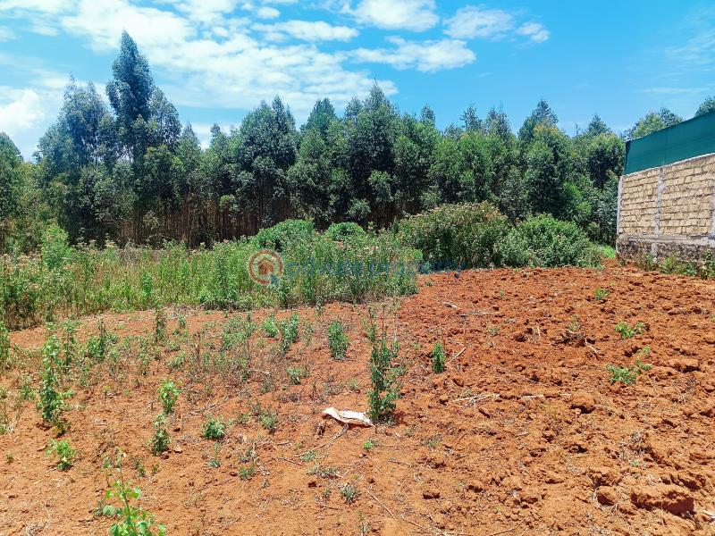 Residential Land For Sale Beverly Gardens Estate Gikambura Kikuyu Kiambu - 9