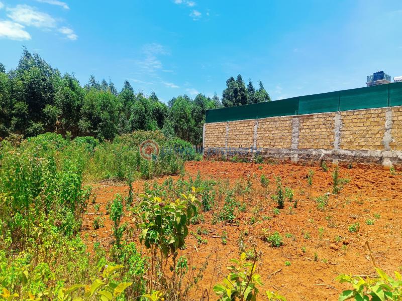 Residential Land For Sale Beverly Gardens Estate Gikambura Kikuyu Kiambu - 8