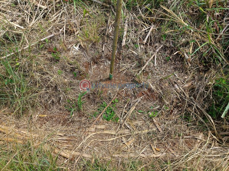 Residential Land For Sale Kamangu Gardens Area Kamangu Kikuyu Kiambu - 2