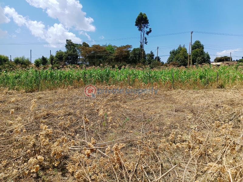 Residential Land For Sale Kamangu Gardens Area Kamangu Kikuyu Kiambu - 13