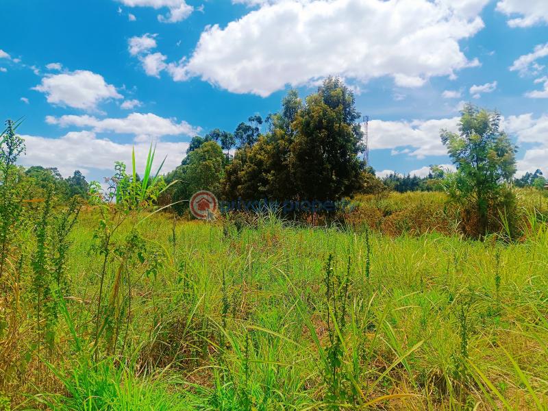Residential Land For Sale Kwa Ngando Area Gikambura Kikuyu Kiambu - 13