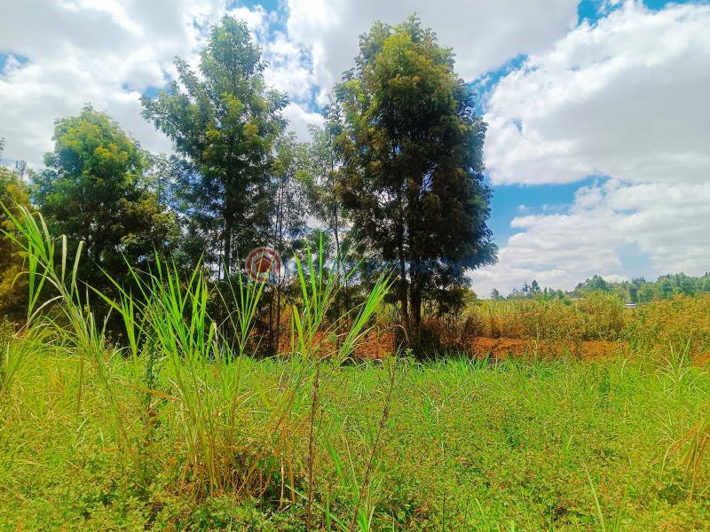 Residential Land For Sale Kwa Ngando Area Gikambura Kikuyu Kiambu - 14