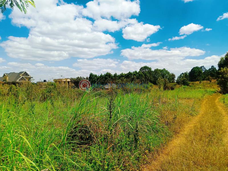 Residential Land For Sale Kwa Ngando Area Gikambura Kikuyu Kiambu - 11