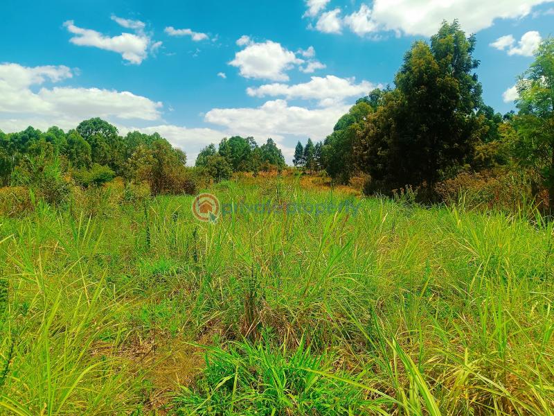 Residential Land For Sale Kwa Ngando Area Gikambura Kikuyu Kiambu - 12