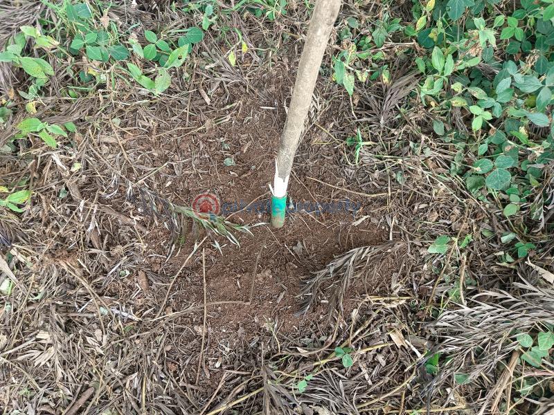 Residential Land For Sale Kwa Ngando Area Gikambura Kikuyu Kiambu - 2