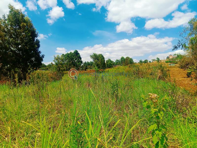 Residential Land For Sale Kwa Ngando Area Gikambura Kikuyu Kiambu - 10
