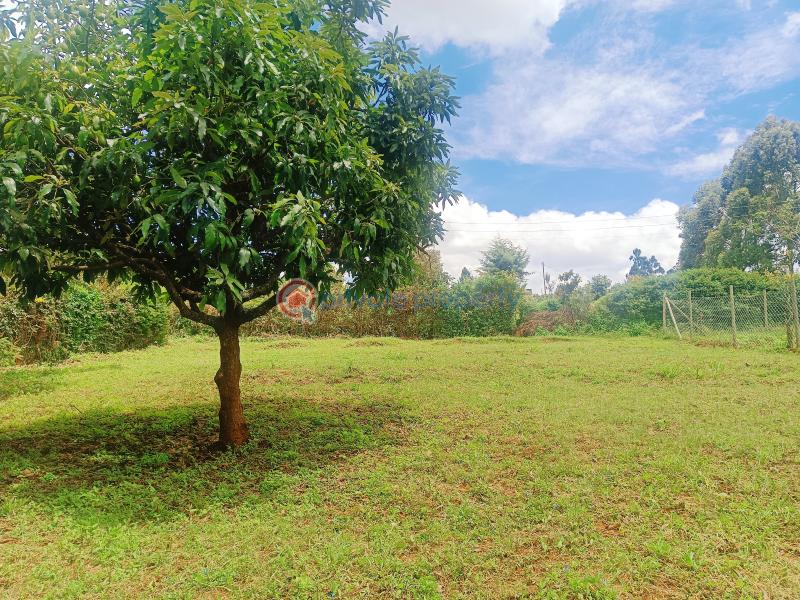Residential Land For Sale Gikambura Riu Nderi Kikuyu Kiambu - 31