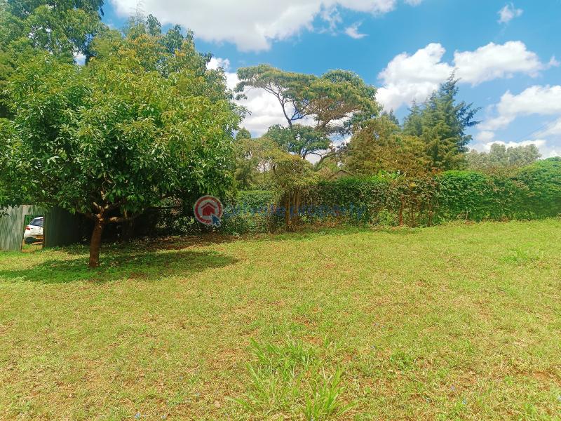 Residential Land For Sale Gikambura Riu Nderi Kikuyu Kiambu - 29
