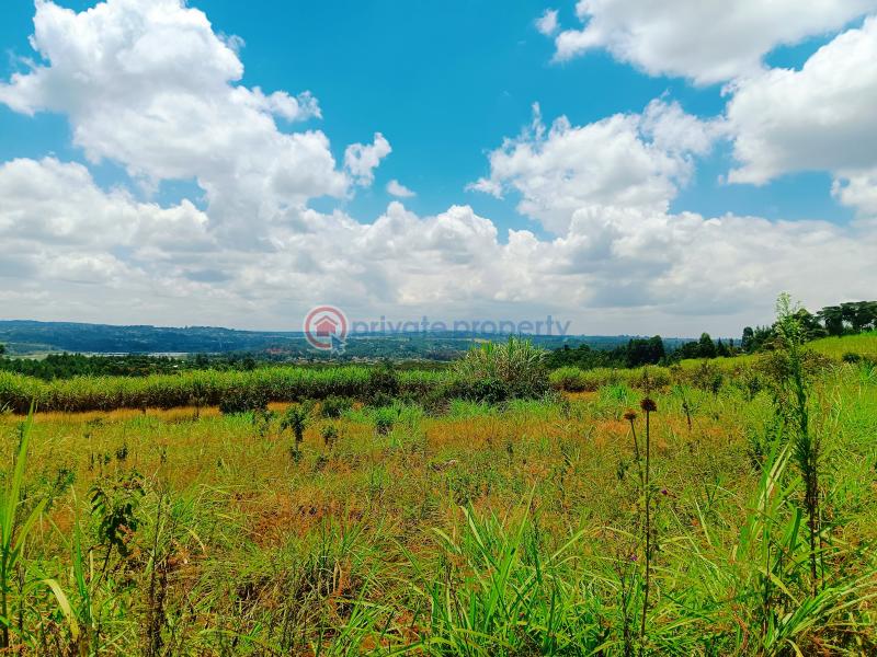 Residential Land For Sale Jambu Tv Area Gikambura Kikuyu Kiambu - 10