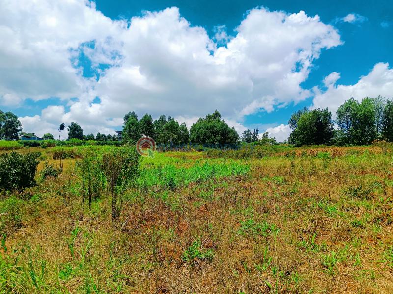 Residential Land For Sale Jambu Tv Area Gikambura Kikuyu Kiambu - 13