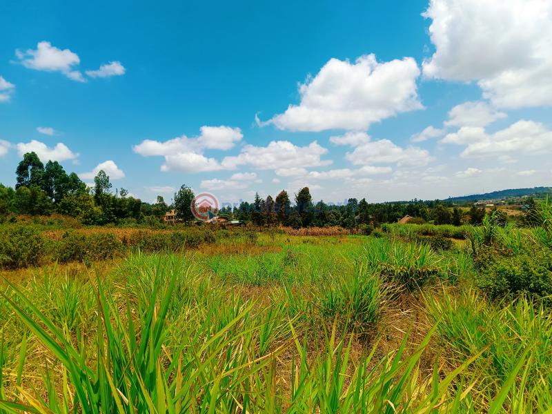 Residential Land For Sale Jambu Tv Area Gikambura Kikuyu Kiambu - 9