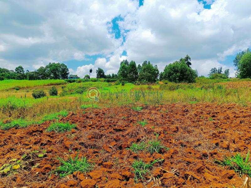 Residential Land For Sale Jambu Tv Area Gikambura Kikuyu Kiambu - 12