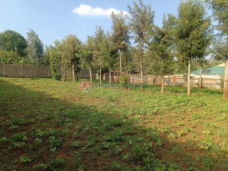 Residential Land For Sale Nairobi Ndogo Estate Gikambura Kikuyu Kiambu - 13