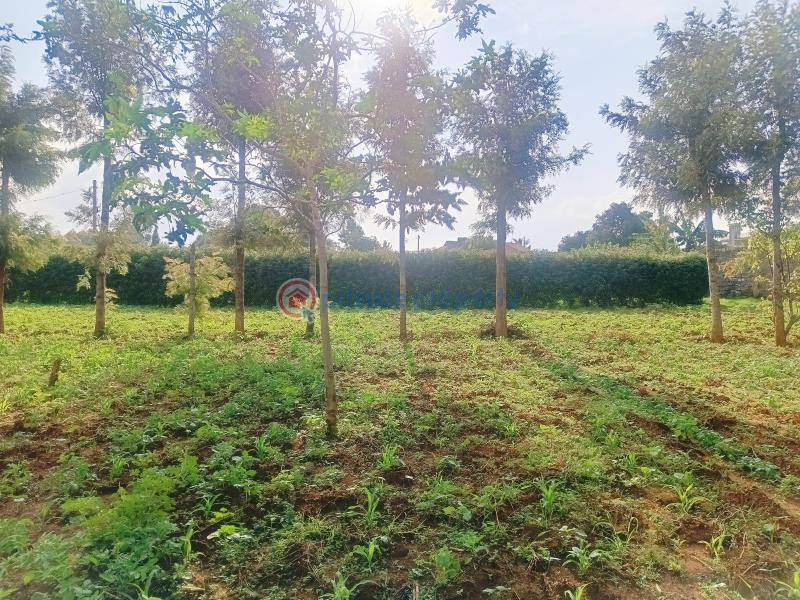 Residential Land For Sale Nairobi Ndogo Estate Gikambura Kikuyu Kiambu - 10