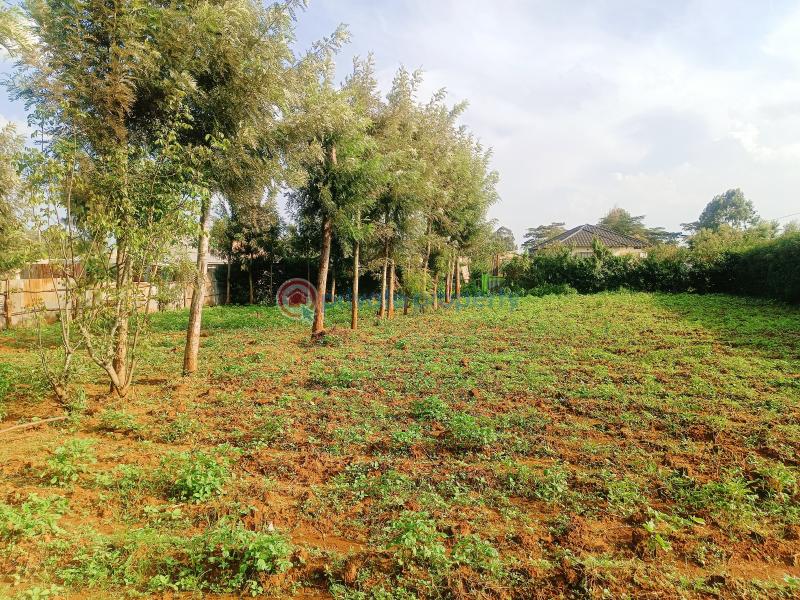 Residential Land For Sale Nairobi Ndogo Estate Gikambura Kikuyu Kiambu - 8
