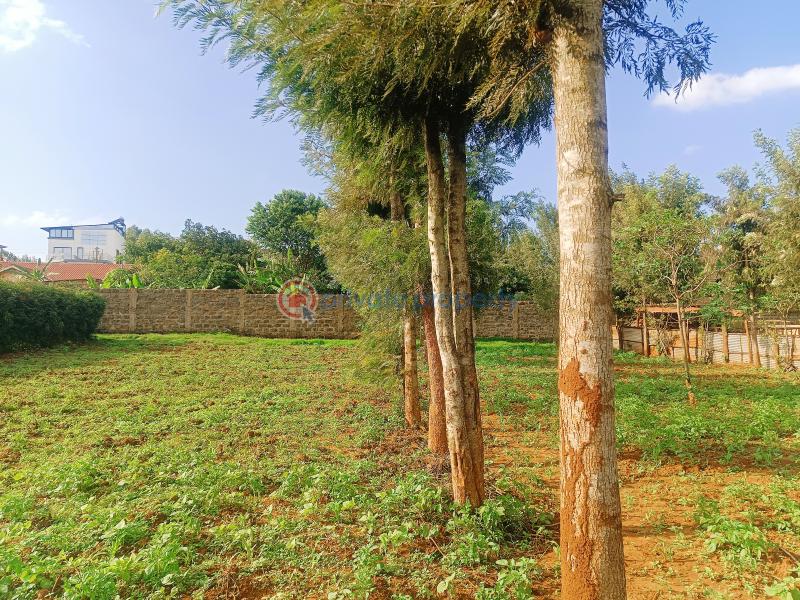 Residential Land For Sale Nairobi Ndogo Estate Gikambura Kikuyu Kiambu - 1