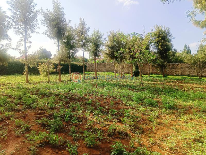 Residential Land For Sale Nairobi Ndogo Estate Gikambura Kikuyu Kiambu - 11