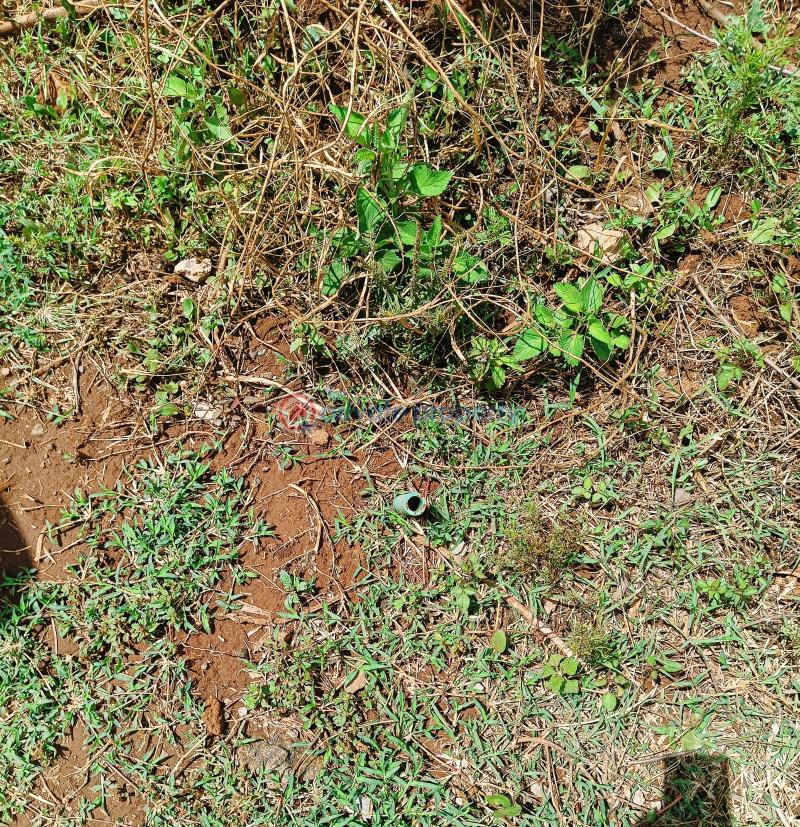 Residential Land For Sale Nairobi Ndogo Estate Gikambura Kikuyu Kiambu - 2