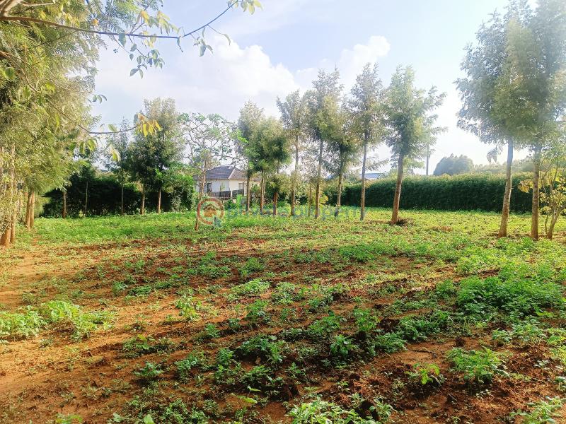 Residential Land For Sale Nairobi Ndogo Estate Gikambura Kikuyu Kiambu - 9