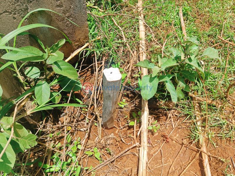 Residential Land For Sale Ondiri, Next To The Rose Haven Estate Ondiri Kikuyu Kiambu - 20