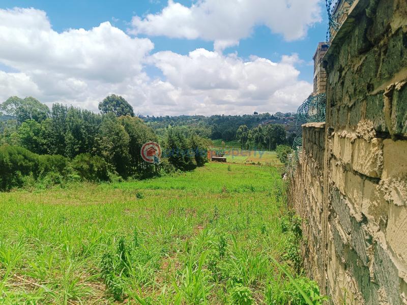 Residential Land For Sale Ondiri, Next To The Rose Haven Estate Ondiri Kikuyu Kiambu - 26