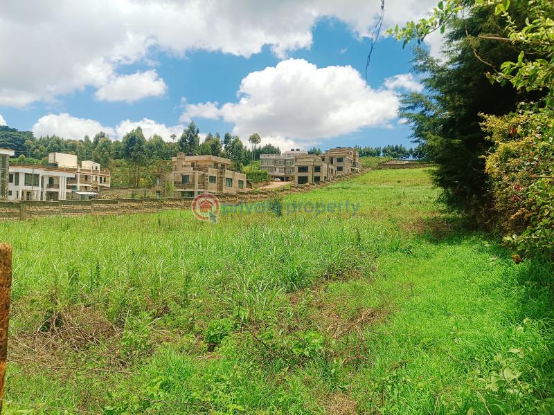 Residential Land For Sale Ondiri, Next To The Rose Haven Estate Ondiri Kikuyu Kiambu - 19