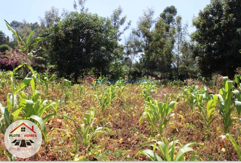 Residential Land For Sale Kamuita Area Karai Kikuyu Kiambu - 10