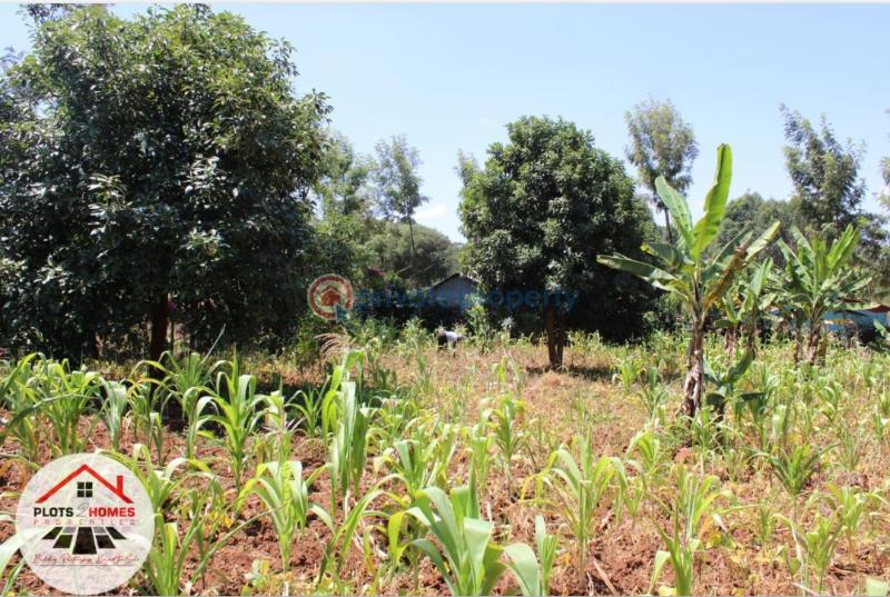 Residential Land For Sale Kamuita Area Karai Kikuyu Kiambu - 1