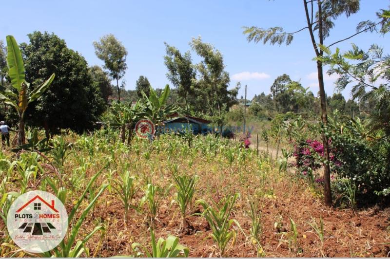 Residential Land For Sale Kamuita Area Karai Kikuyu Kiambu - 8