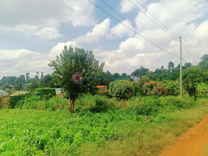 Residential Land For Sale Kamuita Area Karai Kikuyu Kiambu - 11