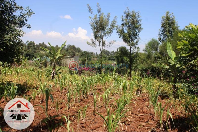 Residential Land For Sale Kamuita Area Karai Kikuyu Kiambu - 9