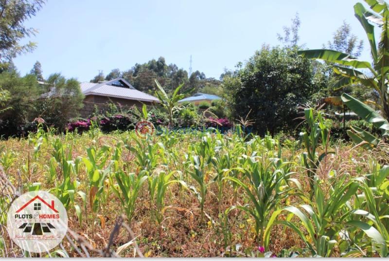 Residential Land For Sale Kamuita Area Karai Kikuyu Kiambu - 0