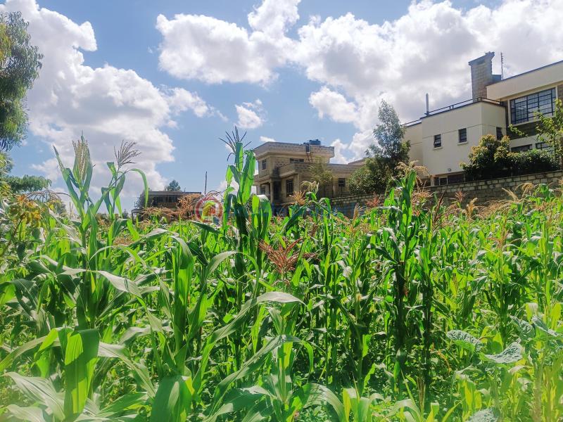 Residential Land For Sale Narobi Ndogo Estate Gikambura (nairobi Ndogo) Kikuyu Kiambu - 1