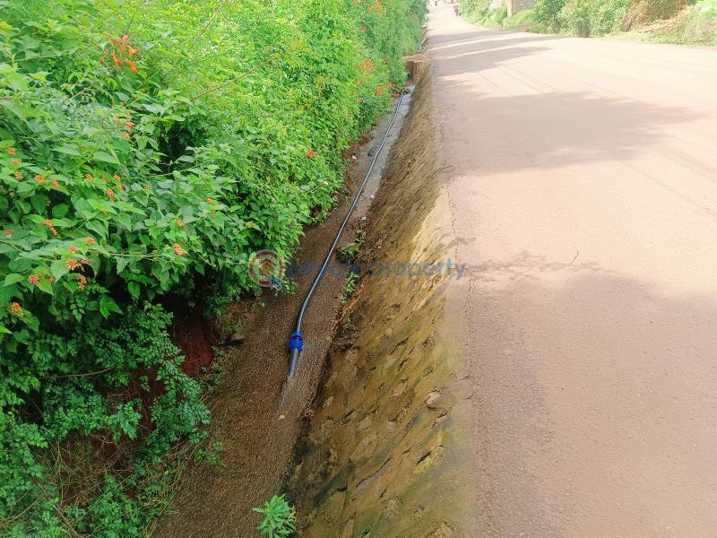 Residential Land For Sale Kamuyu Drive Gikambura Kikuyu Kiambu - 4