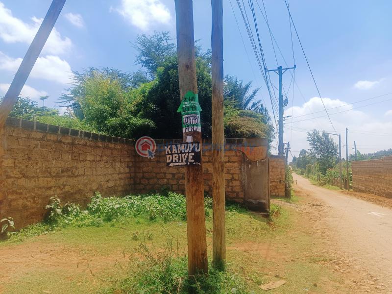 Residential Land For Sale Kamuyu Drive Gikambura Kikuyu Kiambu - 11