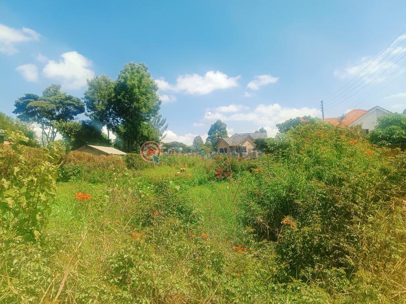 Residential Land For Sale Kamuyu Drive Gikambura Kikuyu Kiambu - 7