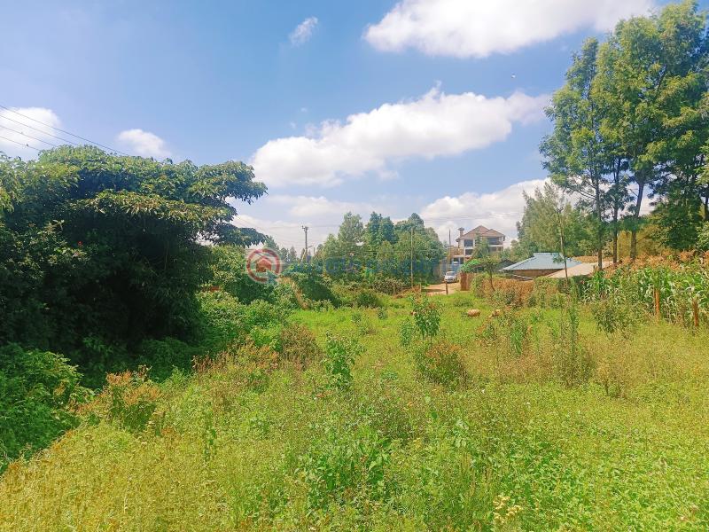 Residential Land For Sale Kamuyu Drive Gikambura Kikuyu Kiambu - 8