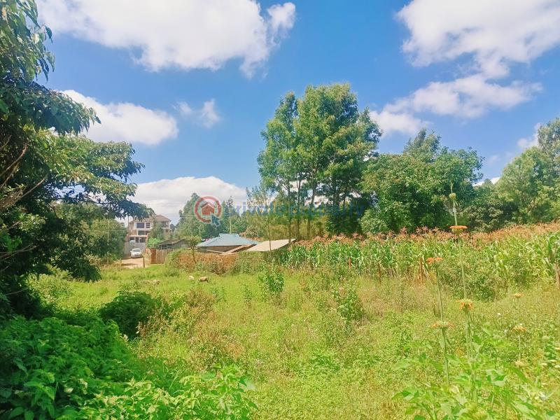Residential Land For Sale Kamuyu Drive Gikambura Kikuyu Kiambu - 10