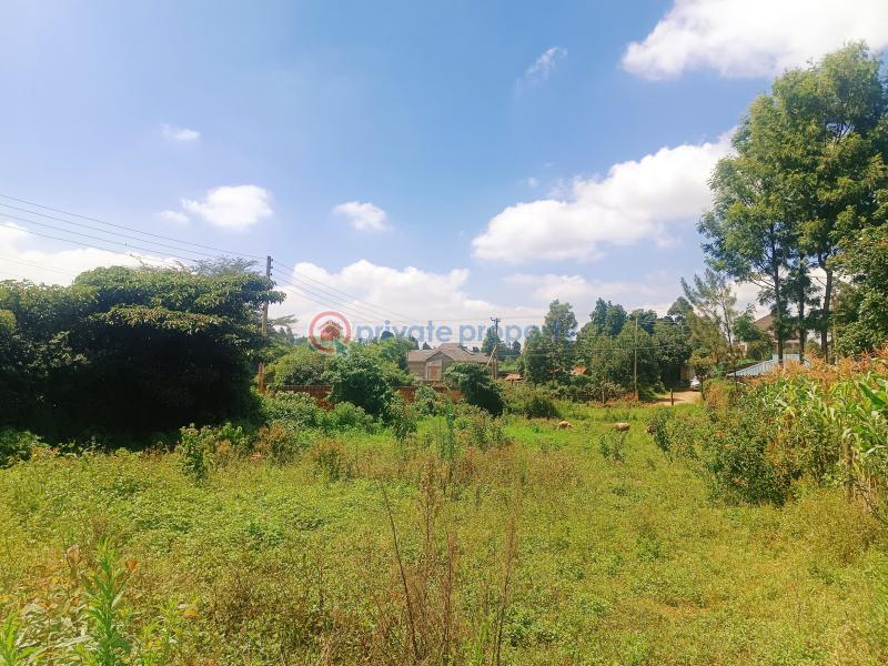 Residential Land For Sale Kamuyu Drive Gikambura Kikuyu Kiambu - 9