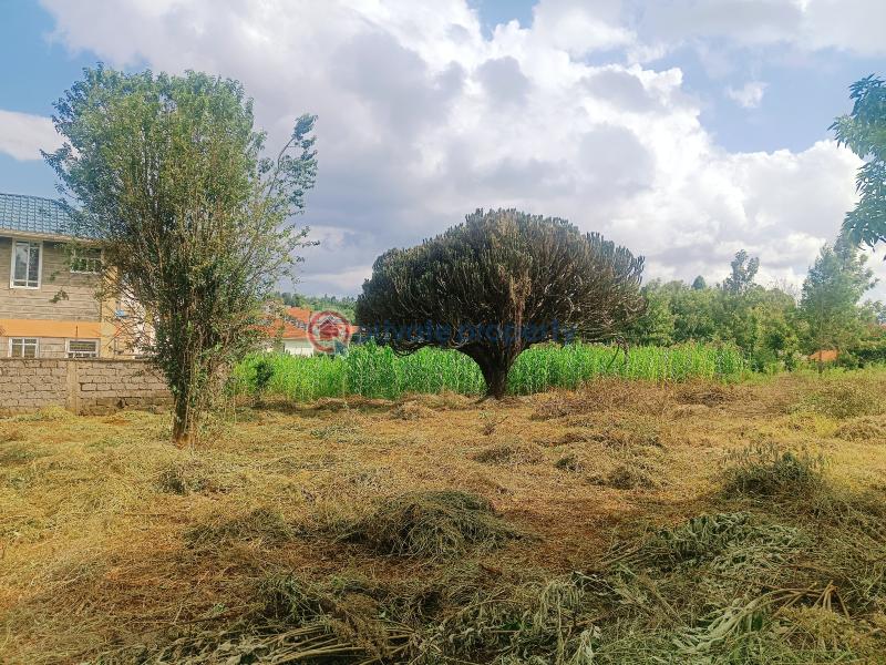 Residential Land For Sale Rio Court Estate Gikambura Kikuyu Kiambu - 8