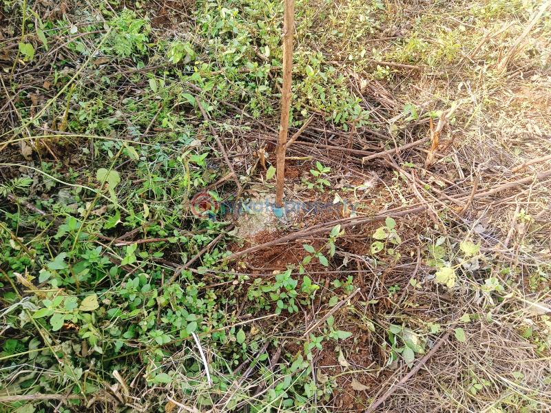 Residential Land For Sale Rio Court Estate Gikambura Kikuyu Kiambu - 2