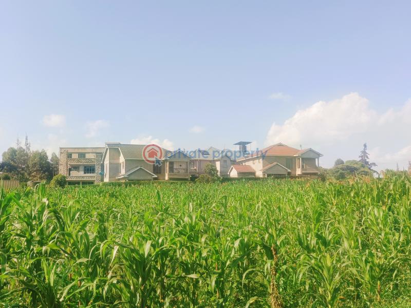 Residential Land For Sale Rio Court Estate Gikambura Kikuyu Kiambu - 13