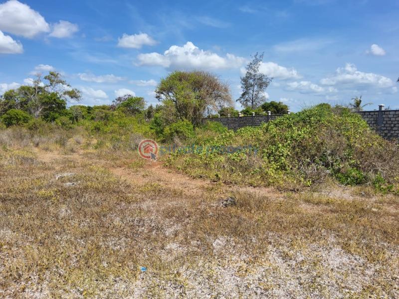 Land For Sale Bofa Beach Mnarani Kilifi - 8