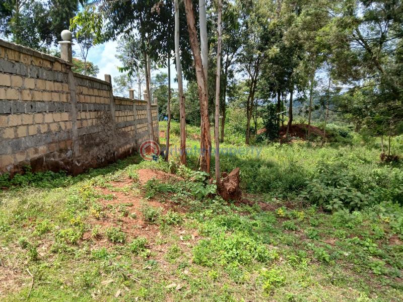 Residential Land For Sale Lussigetti Kikuyu Kiambu - 1