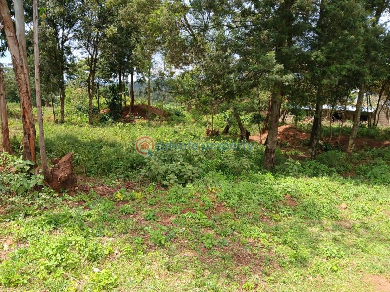 Residential Land For Sale Lussigetti Kikuyu Kiambu - 5